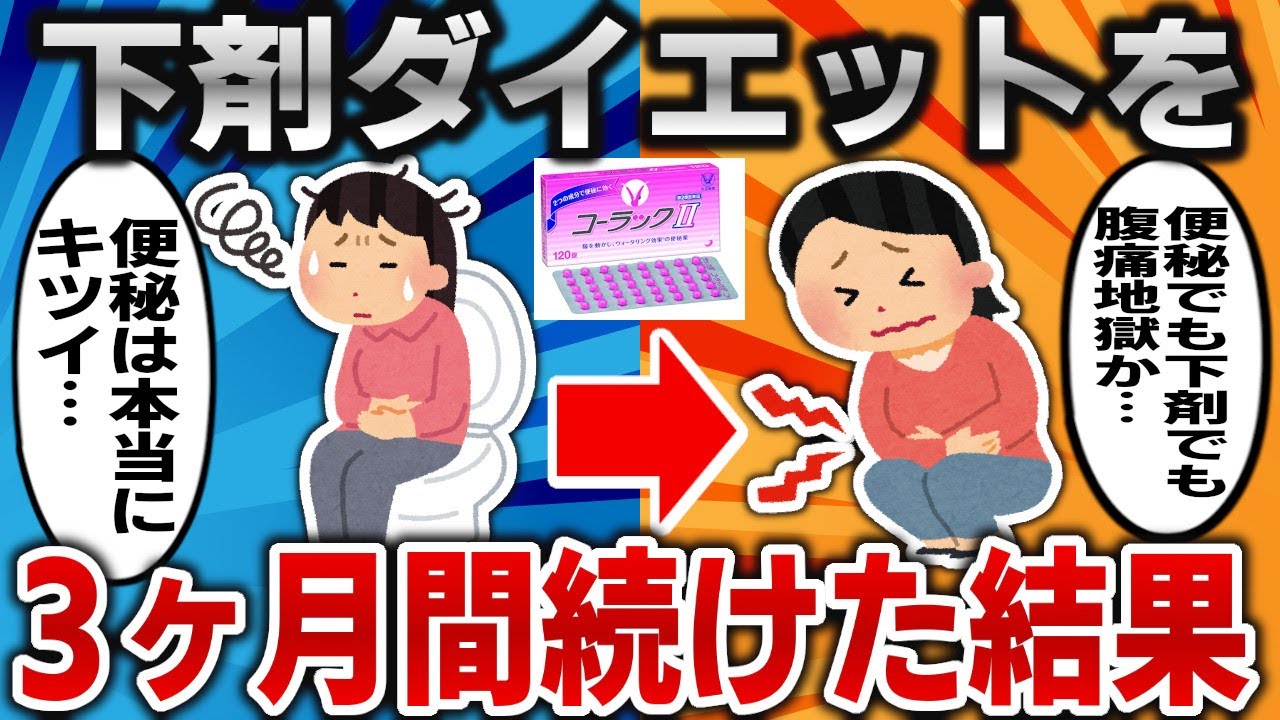 【2ch面白いスレ】下剤ダイエットを3ヶ月間続けた結果ｗｗｗ【ゆっくり】