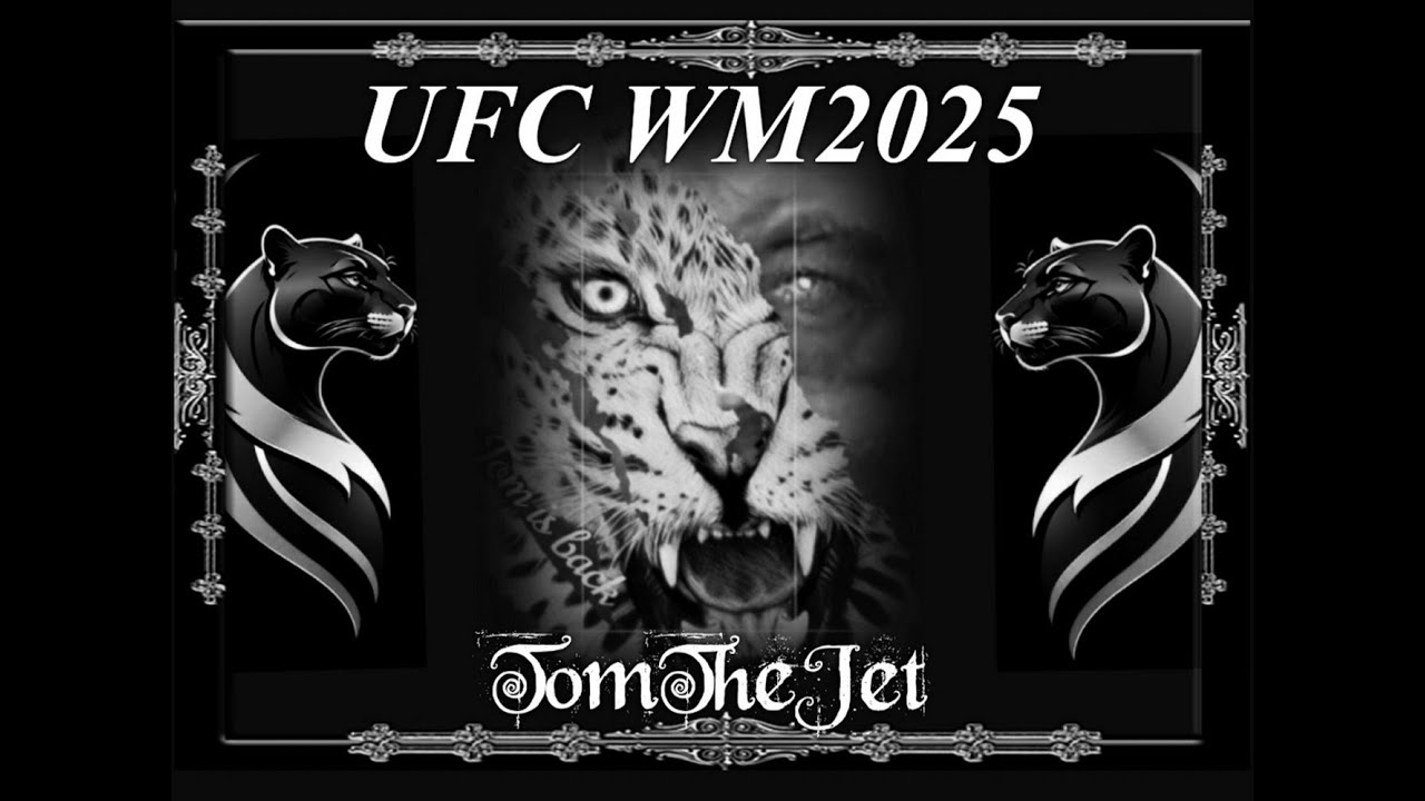 UFC TITELKAMPF Nr. 2 HALBSCHWERGEWICHT