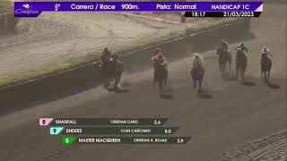 Vidéo de la course PMU PRIX COLON 9000