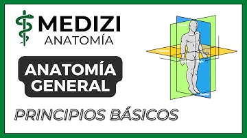 Anatomía General - Principios Básicos