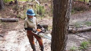 Appalachian Conservation Corps - Saw Crew Leader Leah