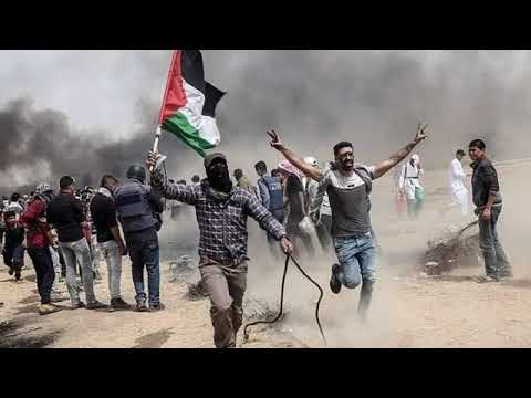 بنحبا فلسطين براء العويد طيور الجنة