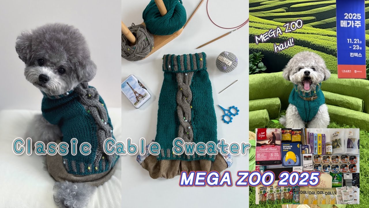 Knitting vlog (sub)ㅣ🎄크리스마스 뜨개 🐶 강아지 꽈배기 니트 뜨기ㅣMEGA ZOO 2025 🐾ㅣ누뗀의 크리스마스🎅🏻