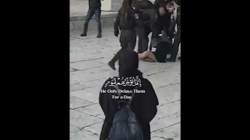 و ل ا ت ح س ب ن الل ه غ اف ل ا ع م ا ي ع م ل الظ ال م ون القارئ عبدالرحمن مسعد 