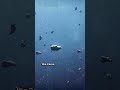 What are asteroids? #shorts