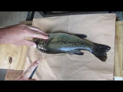 Video: How To Quickly Clean A Fish