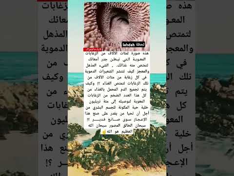 سبحان الخالق العظيم هذه صورة لمئات الألاف من الزغابات المعوية التي تبطن جدر أمعائك