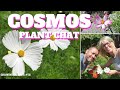 ?? Cosmos Plant Chat - QG Day 130 ??