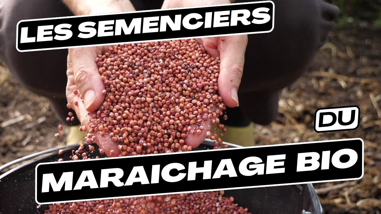 Où acheter ses graines de légumes [maraichage Bio]