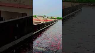 #fouryou #trending #trendingshorts #gct #newnaatsharif #nath #nature