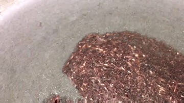 Chromium (Cr) being released from a Stainless Steel (Cr2O3) + Copper (Cu) reaction = CuO + Cr