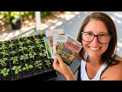 Fall Seeds You Should Be Planting NOW (Florida Schedule)