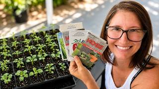 Start These Seeds NOW For The Best Fall Garden