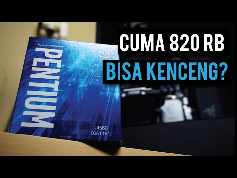 Video: Ulasan Intel Pentium G4560: CPU Anggaran Tertinggi?