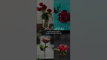 (وَعِندَهُ مَفَاتِحُ الْغَيْبِ لَا يَعْلَمُهَا إِلَّا هُو)  بصوت الشيخ :#ياسر_الدوسري#سورة_الأنعام