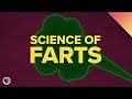 The Science of Farts