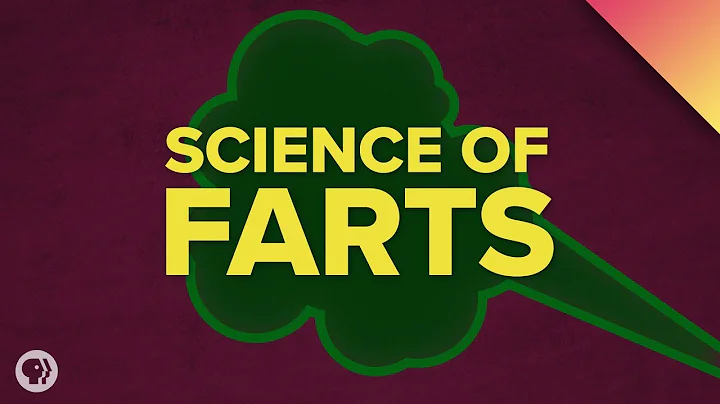 What happens when fart? (2023)