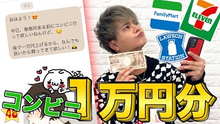 【検証】「1万円あげるからコンビニでなんでも買ってきて」とLINEしたら何を買ってきてくる？？