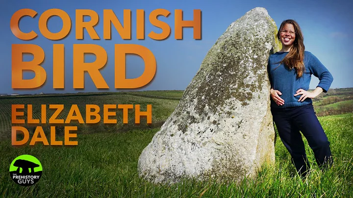 The Cornish Bird, The Stones & Hidden Wonders of C...