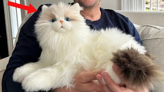 Chongker Interactive Companion Robot Cat Review | Realistic Purring Plush Cat with Heartbeat