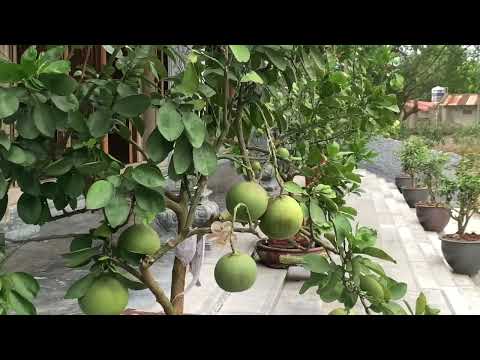 Thiền trong gia đình hay giận chồng khăn gói lên chùa?