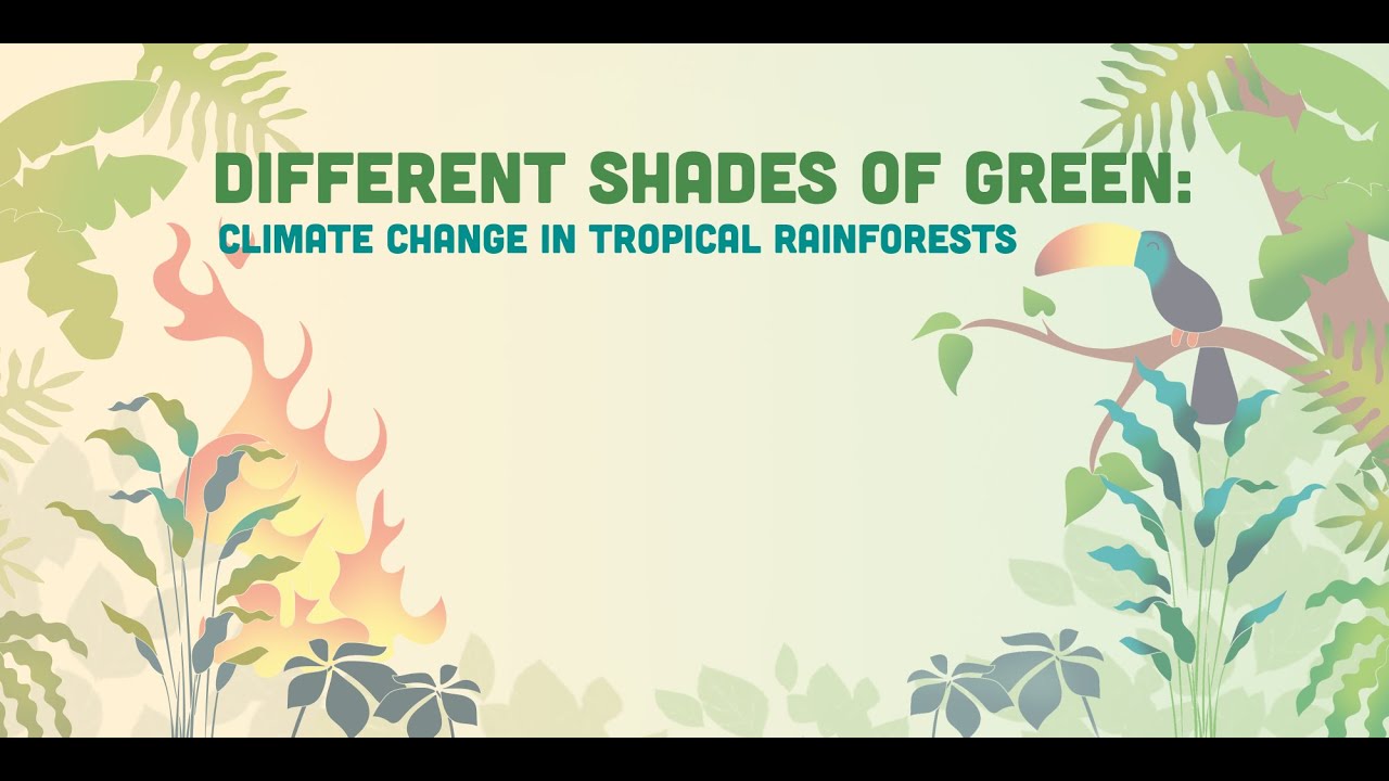 Different Shades of Green: Climate Change in Tropical Regions