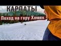Поход выходного дня на гору Хомяк // КАРПАТЫ //Carpathians