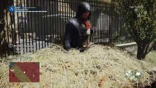 Assassin's Creed Unity Haystack Kill Fail