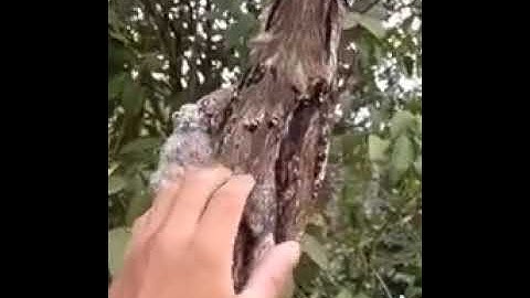 (أَلَمۡ تَرَ أَنَّ ٱللَّهَ خَلَقَ ٱلسَّمَٰوَٰتِ وَٱلۡأَرۡضَ بِٱلۡحَقِّ) تلاوة رائعة🌺مميزة🌺