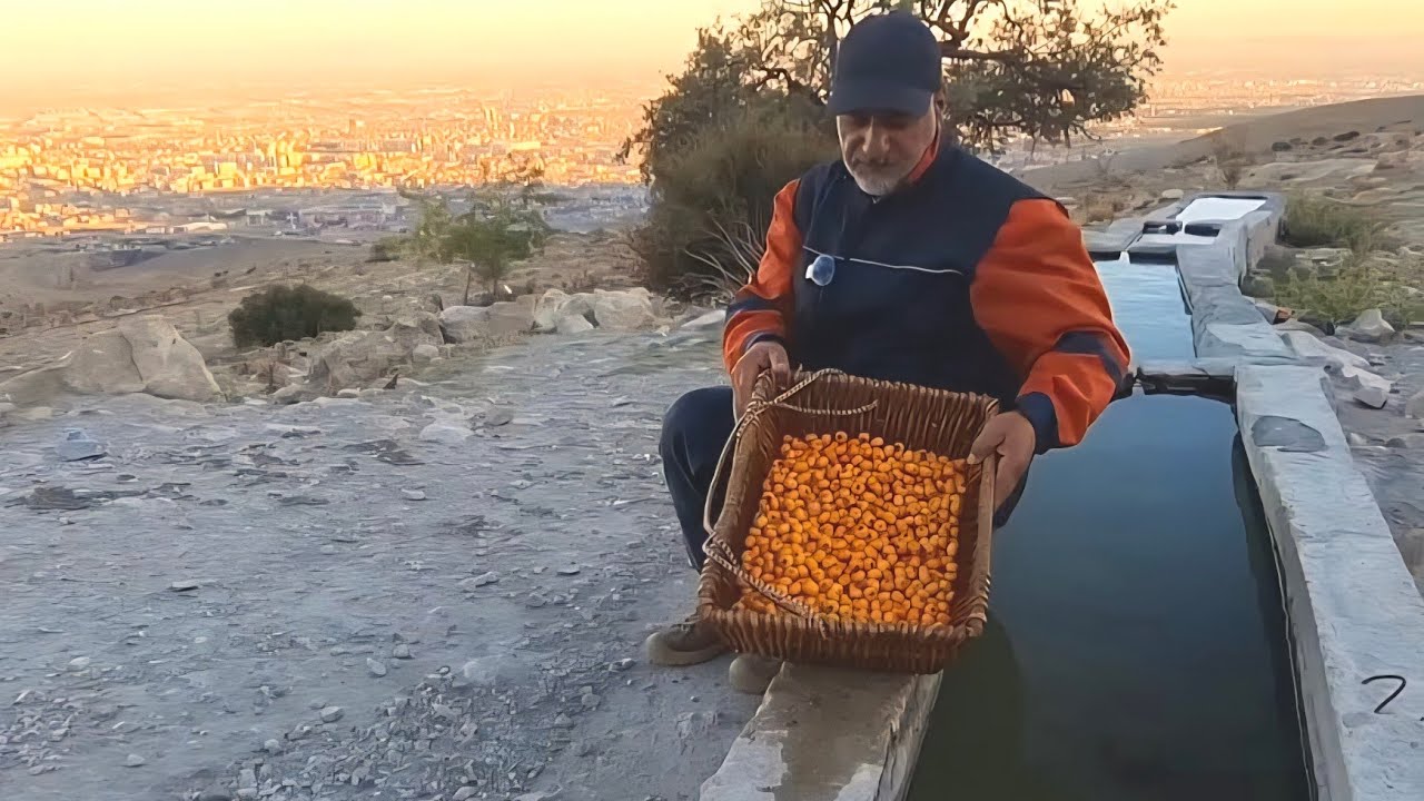  DOĞANIN CÖMERTLİĞİ  Her Yer Meyveye Büründü”