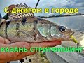 Джиговая рыбалка в городе. Казань. Стритфишинг.