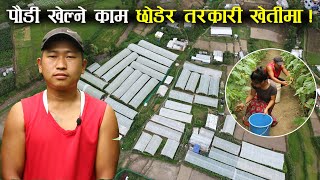 बिदेशको पौडी खेल्ने काम छोडेर तरकारी खेतीमा ! Vegetable farming in Nepal-Sanjog Rai from Okhaldhunga