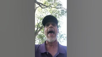 Are STEM Elites are WRONG about Time? #quantummechanics #gravity #entanglement #holographic #time