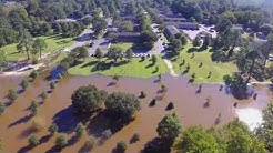 Tar River Flooding it's Banks in Greenville. NC