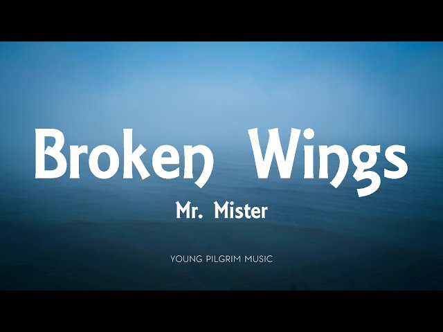 Mr. Mister - Broken Wings (Lyrics) class=