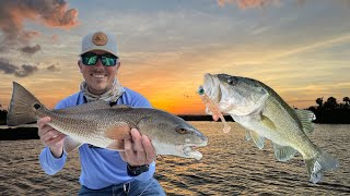 Catching Redfish and Bass in Backwater Springs! Fishing Crystal River, Florida