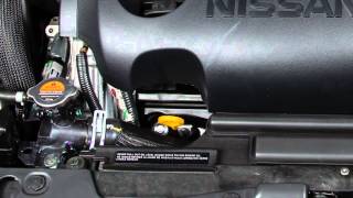 2016 Nissan Maxima - Fluid Check Point