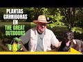 Vlog: Buleado por interesarme en plantas. Plantas carnívoras de The Great Outdoors
