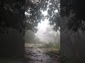 #youtubeshorts #today in Bangalore full 🌧️☔☔