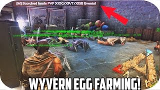 Wyvern Egg Farming | Ark Scorched Earth | Mega Wyvern Kill! | Ep3