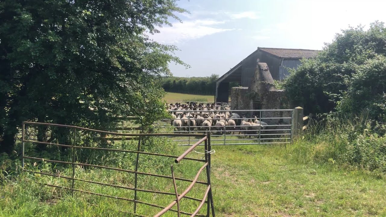 Woodeaton to Cutteslowe, Woodeaton/Water Eaton/Oxford, June 13th 2025