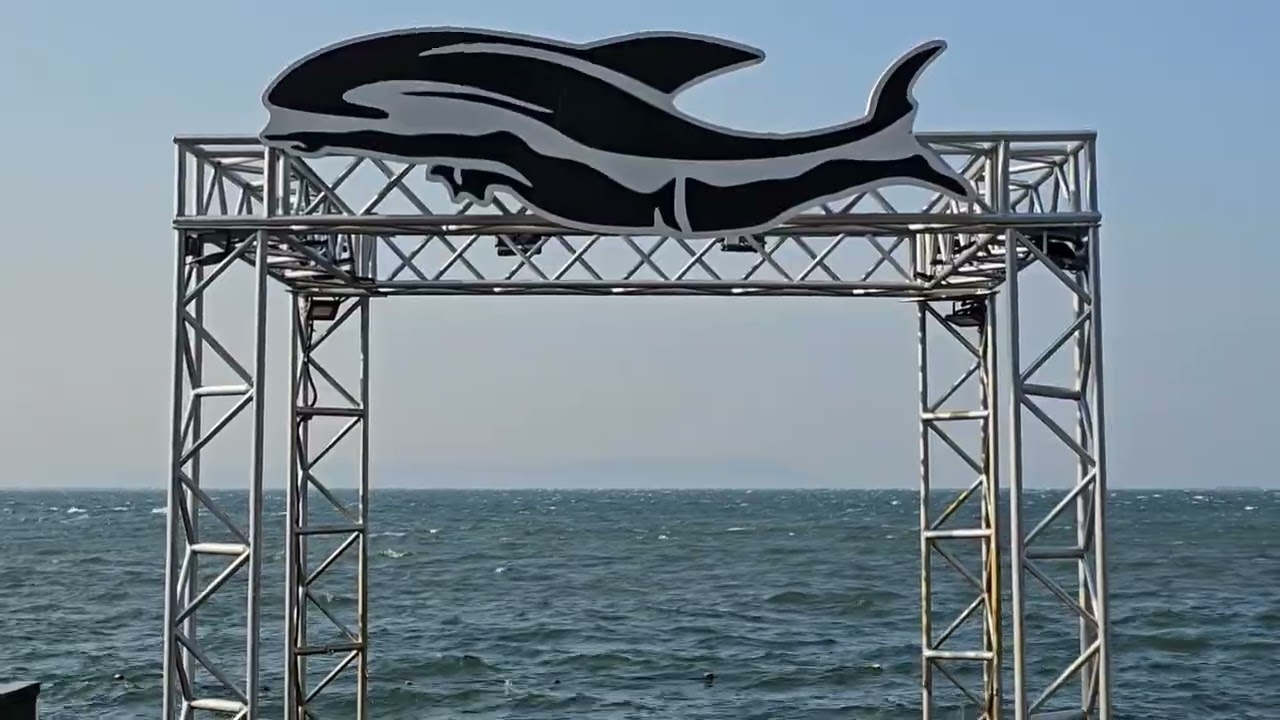 ВЛАДИВОСТОК. ЦВЕТЫ У КИНОЦЕНТРА ОКЕАН. ПОСЛЕДНИЙ ПРИВЕТ ОТ ЛЕТА. ДАЛЬНИЙ ВОСТОК РОССИИ. 16.10.2025.