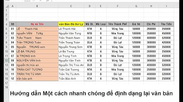 Cách định dạng VĂN BẢN nhanh chóng trong EXCEL