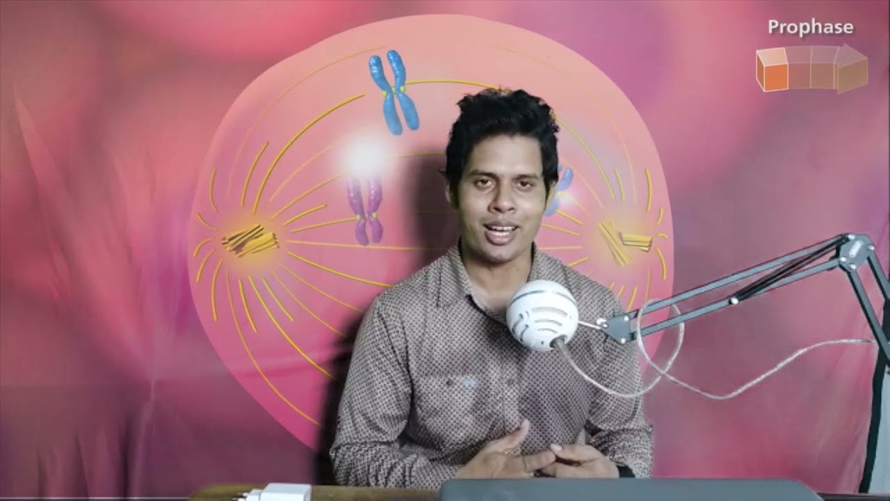 HSC: Biology First paper Practical || Examination 2021|| জীববিজ্ঞান