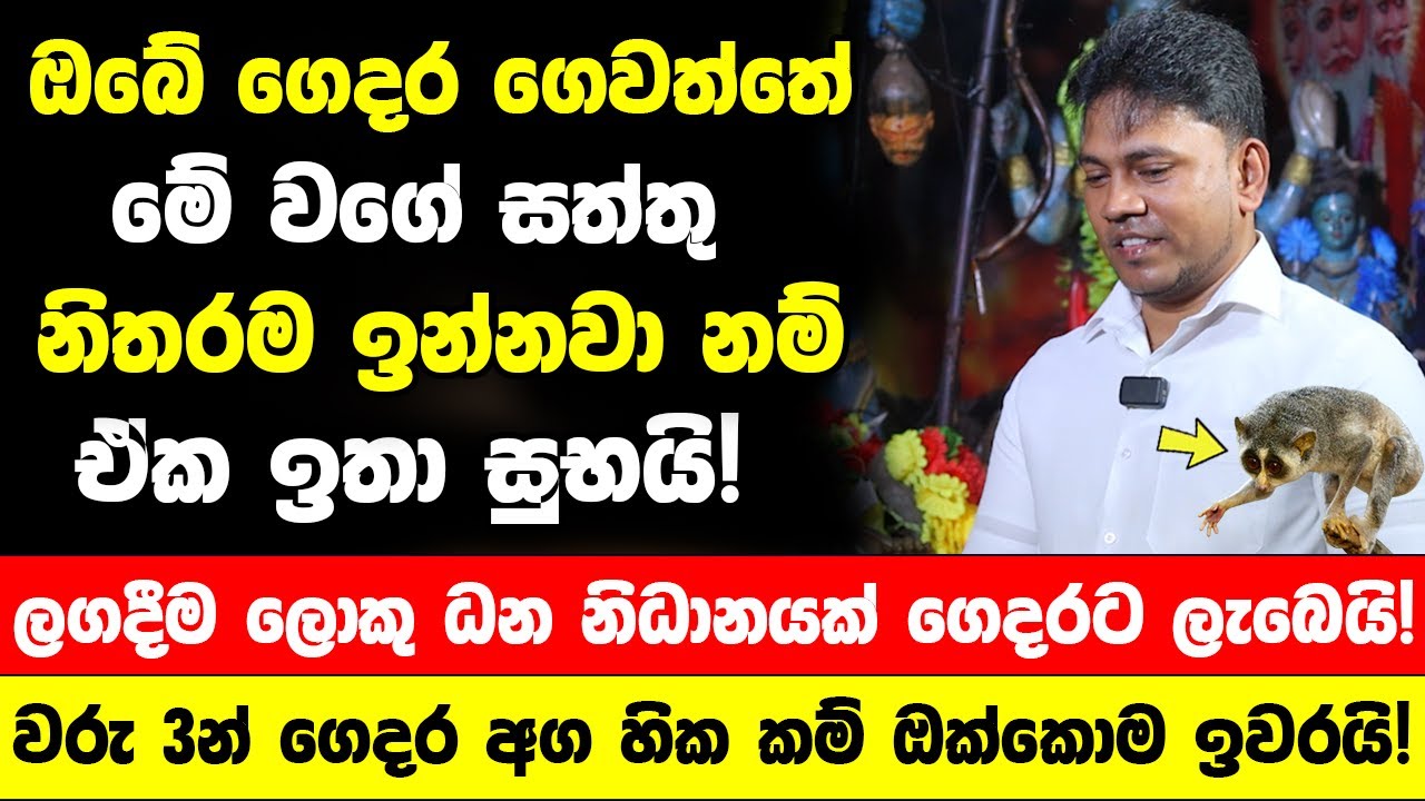 ඔබේ ගෙදර ගෙවත්තේ මේ වගේ සත්තු නිතරම ඉන්නවා නම් ඒක ඉතා සුභයි! - ලගදීම ලොකු ධන නිධානයක් ගෙදරට ලැබෙයි!