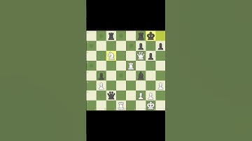 Magnus Carlsen and Hans Niemann Share The Stage At Grenke Chess