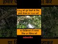 Ranipur waterfall Panna Madhya Pradesh
