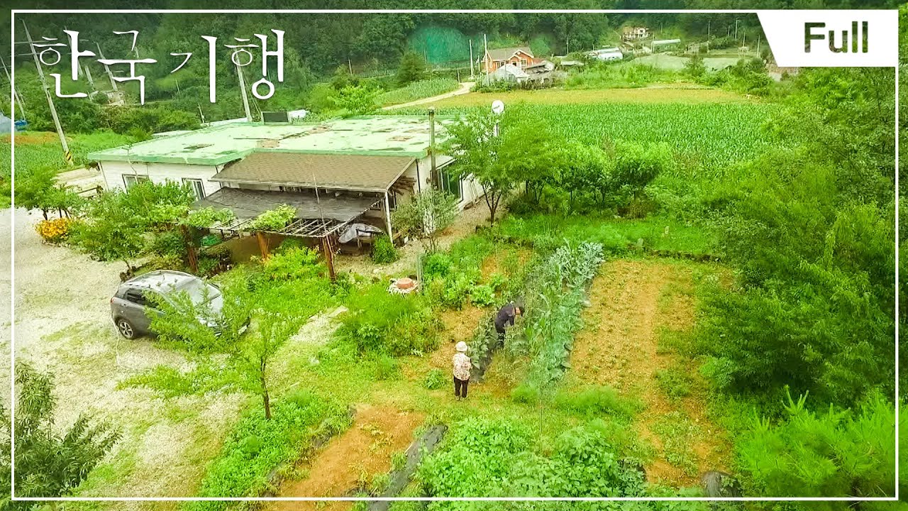 [Full] 한국기행 - 숨겨진 계곡 - 제3부 이곳은 신선동 20170726