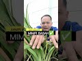 Mimpi disiang bolong 😅😂🤣 #lucu #lucungakak #video #videoshort #comedy #funny #fypシ゚viral