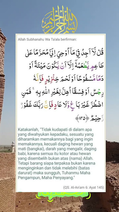 Bismillah #pendosahijrah #quotes #nasehatasatidz #prophetmuhammad #kumpulanhadits #muslimcontent